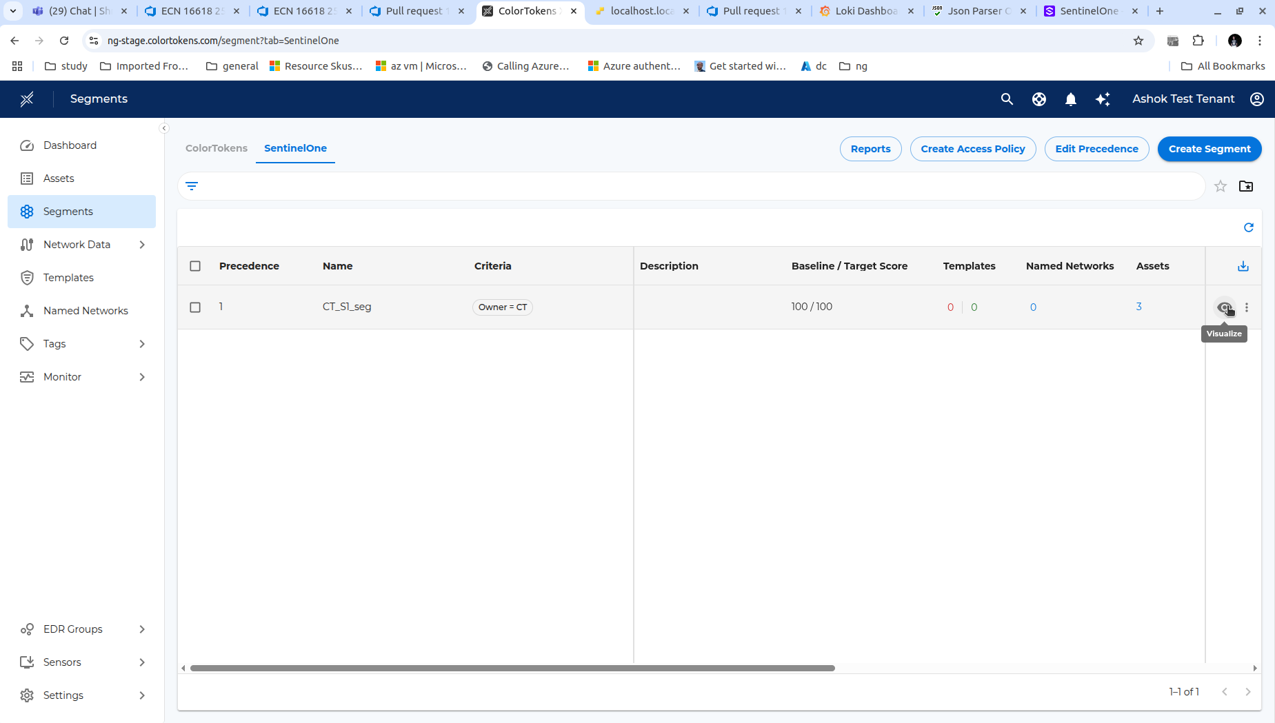 SentinelOne Segments